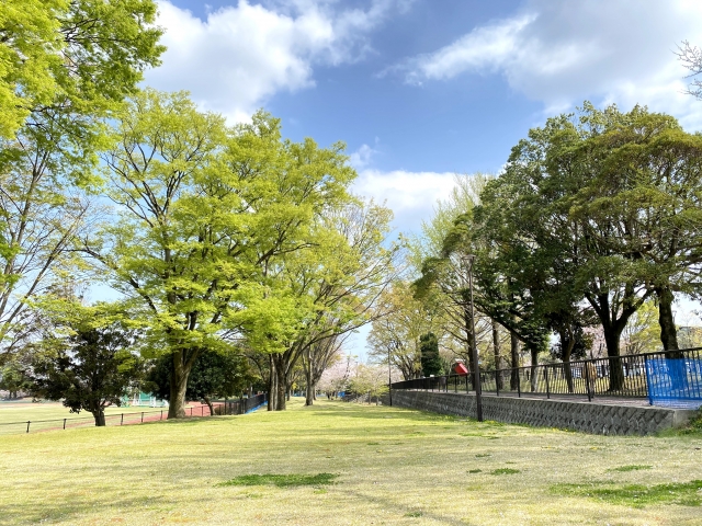 神奈川で駐車場が無料の公園 おススメな穴場をご紹介 とにかく広い公園や 遊具が多いところ スポーツ三昧な公園 どれもこれも無料で楽しめちゃいます くるまで旅しよう